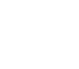 Numbersmiths logo white